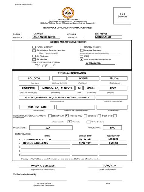 dilg intranet log in|Barangay Information System .